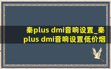 秦plus dmi音响设置_秦plus dmi音响设置(低价烟批发网)效果